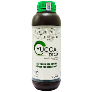 YUCCA DTOX – HỖ TRỢ HẤP THU KHÍ ĐỘC, CẢI THIỆN CHẤT LƯỢNG NƯỚC AO NUÔI