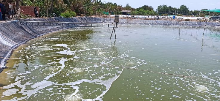 Ứng dụng của việc gây màu nước nhanh