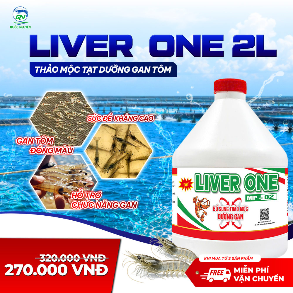 LIVERONE2L_01-1