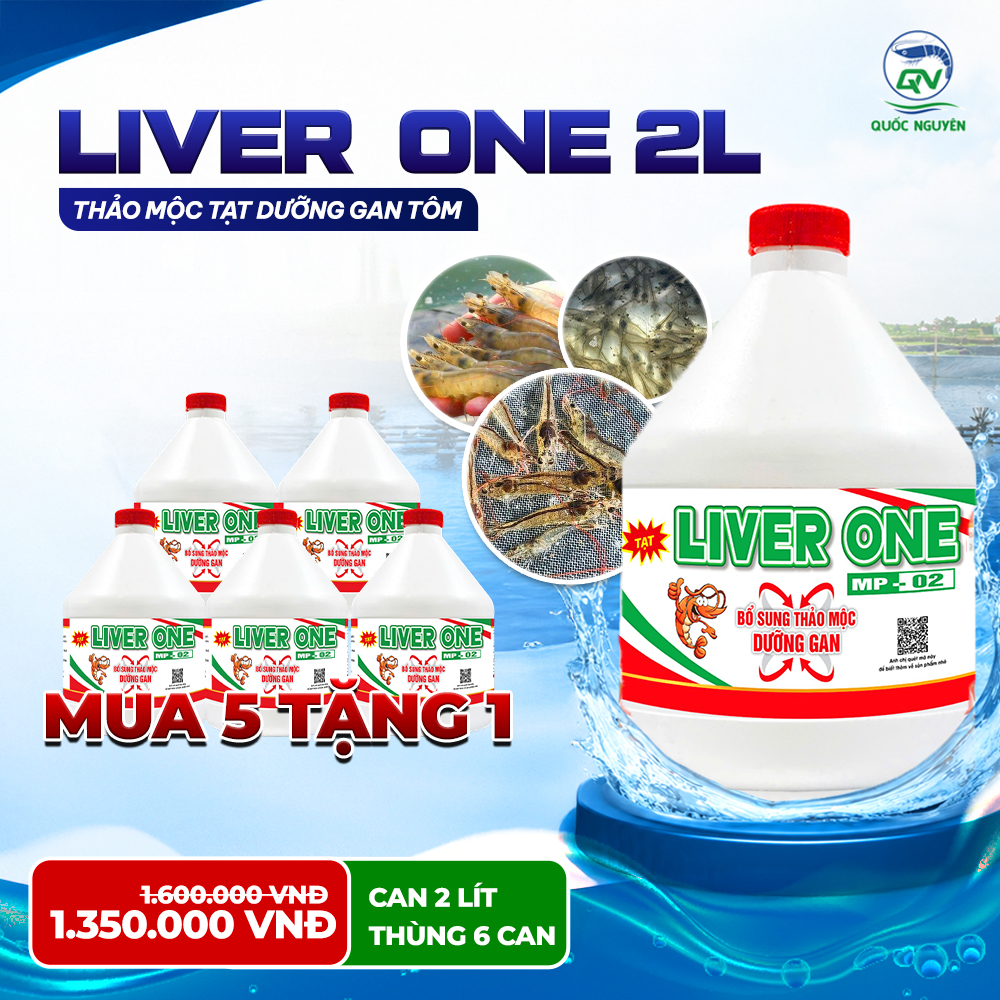 LIVERONE2L_02