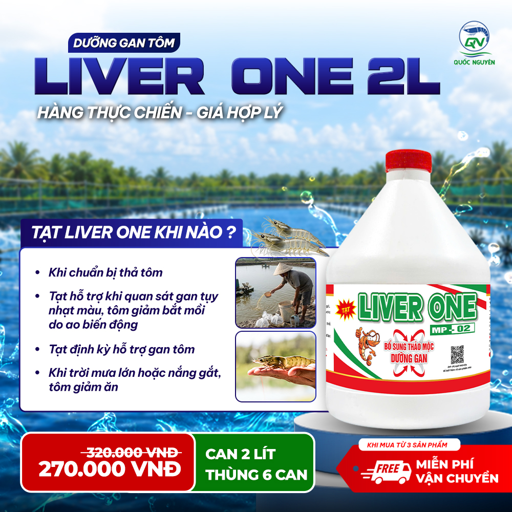 LIVERONE2L_03