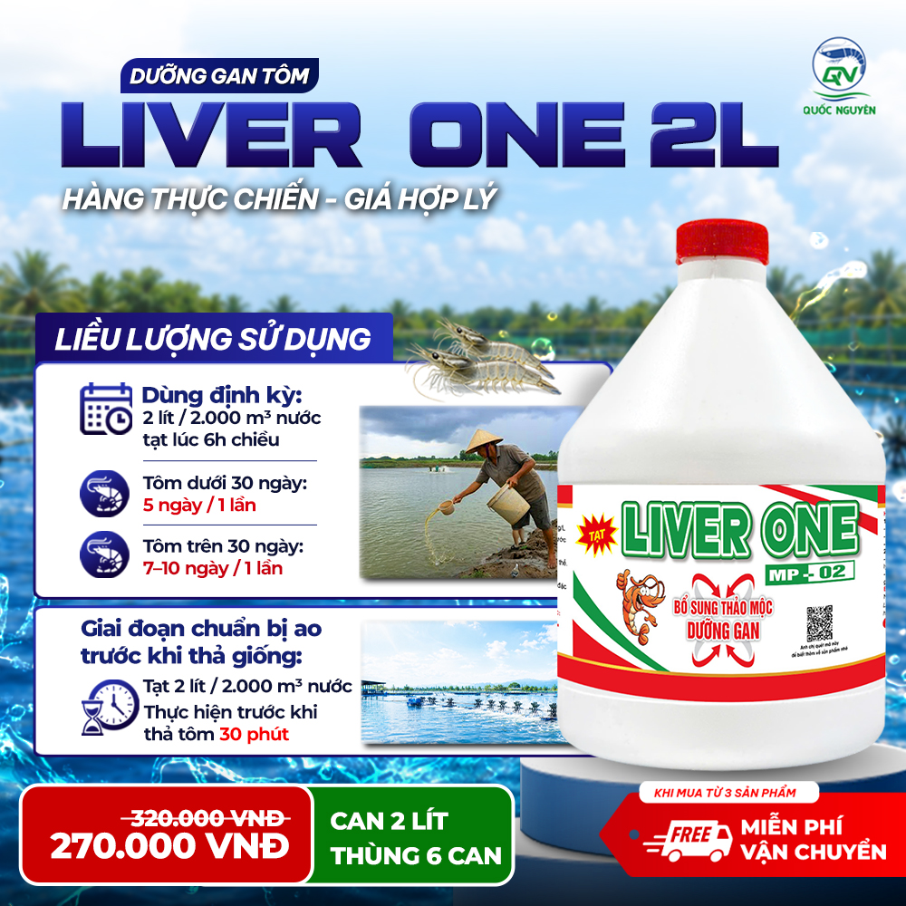 LIVERONE2L_04