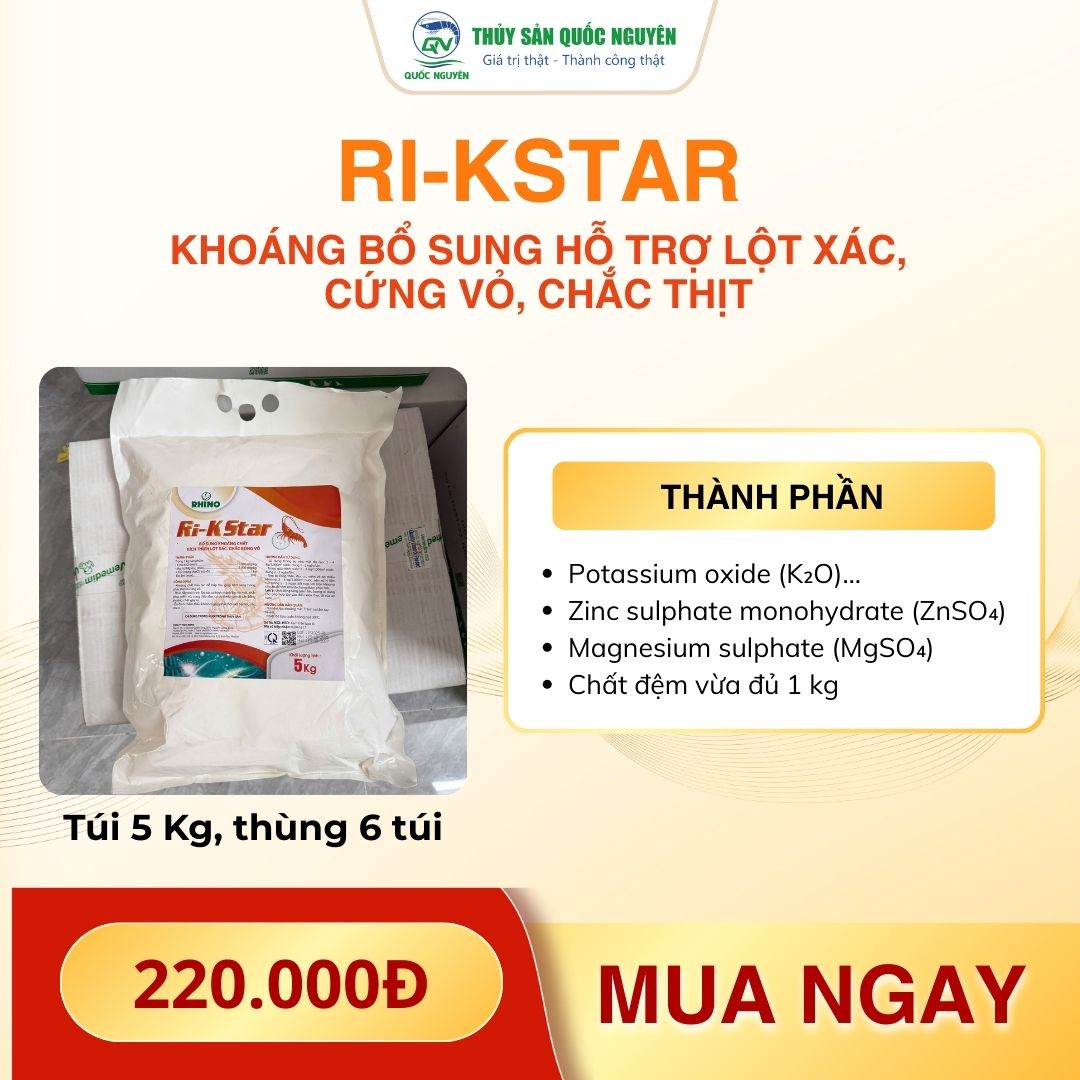 Ri-KStar (2)