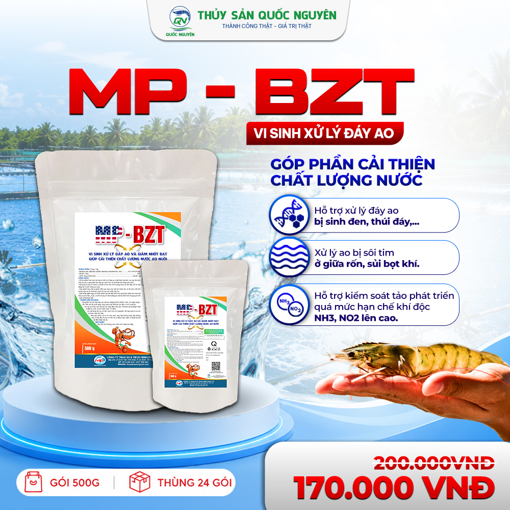 SP_MP - BZT_01