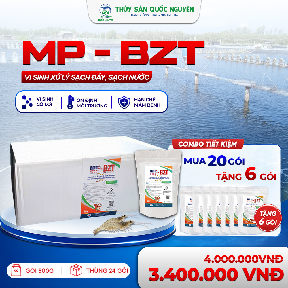 SP_MP - BZT_03