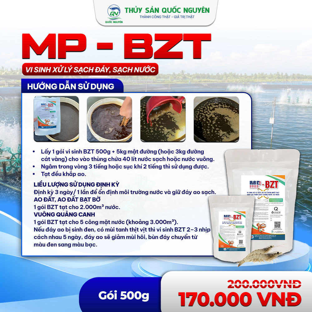 SP_MP - BZT_05