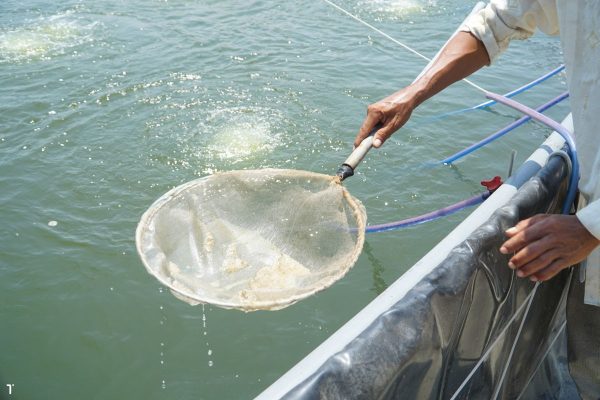 Tại sao khí độc lại tăng cao sau khi trời mưa bão