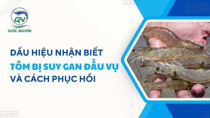 vàng gan