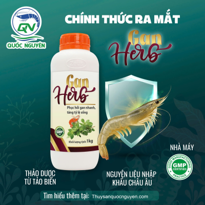 Herb Gan -Chiết xuất tảo biển - Tăng tỷ lệ sống, gan màu đẹp