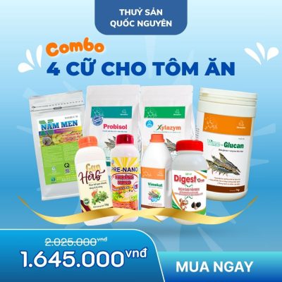 BỘ THUỐC TRỘN 4 CỮ – TÔM KHỎE MẠNH TOÀN DIỆN SUỐT NGÀY ĐÊM