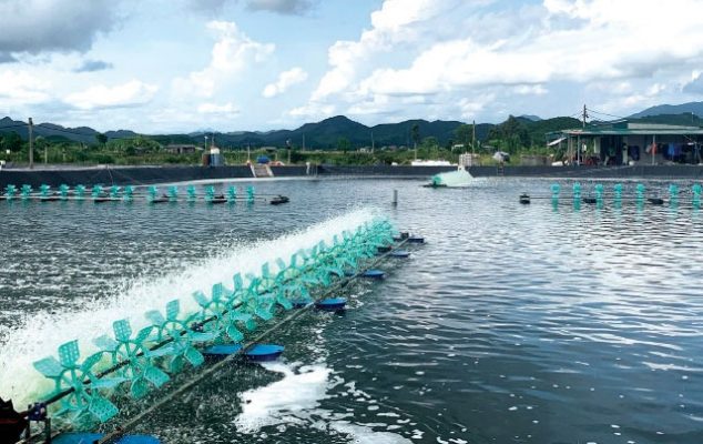 Độ sâu ao nuôi tôm là gì và tại sao lại quan trọng?