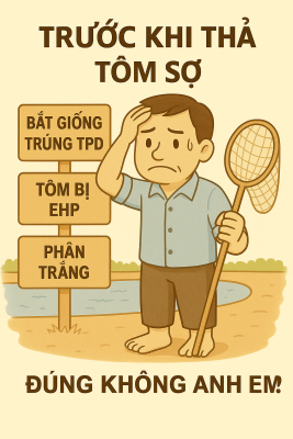 nông dân nuôi tôm lo lắng