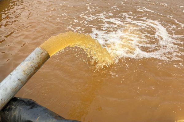 Khử phèn và giải độc đáy ao
