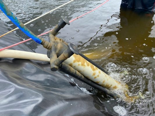 Xử lý Nấm chân chó (nấm đồng tiền) trước ngày thả tôm