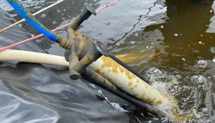 Dấu hiệu nhận biết ao bị nấm đồng tiền bám trên bạt và thiết bị