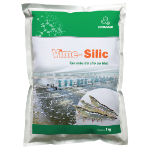 VIME SILIC - MẦM TẢO KHUÊ GIÚP TẠO MÀU TRÀ CHO AO NUÔI TÔM