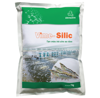 VIME SILIC - MẦM TẢO KHUÊ GIÚP TẠO MÀU TRÀ CHO AO NUÔI TÔM