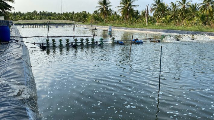 1. Vai Trò Của Quang Hợp: Nguyên Nhân Chính Gây pH Cao