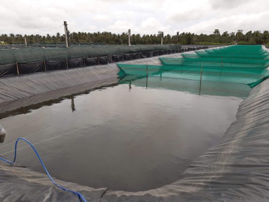 Lợi ích của việc xử lý nước bằng thuốc tím