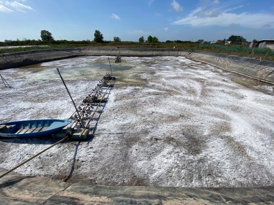 Vai trò của vôi canxi trong nuôi tôm