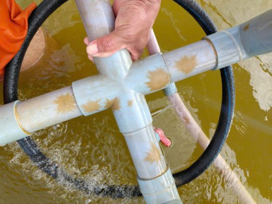 ống nano bị nấm đồng tiền