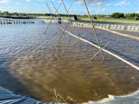 Ba nguyên nhân chính gây ra nước đục