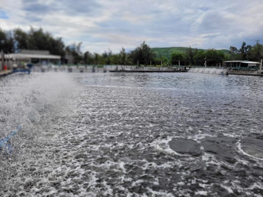 Độ kiềm là gì? Tầm quan trọng trong Nuôi trồng Thủy sản