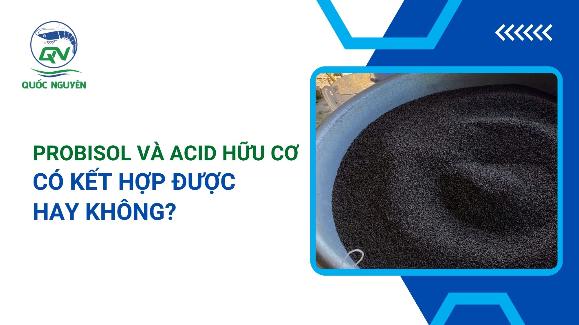 Probisol Probisol Và Acid Hữu Cơ có Kết Hợp Được Hay Không?