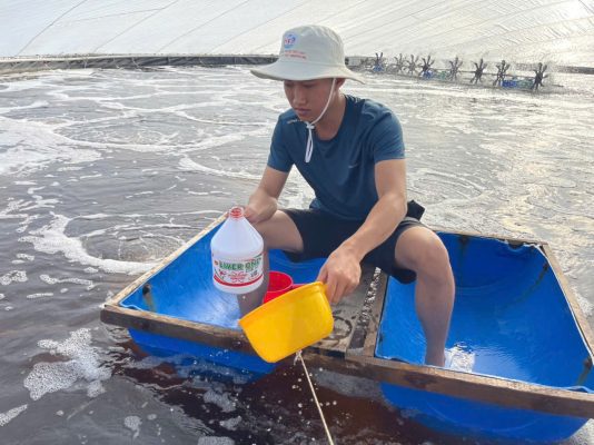 Tầm Quan Trọng Của Việc Tạt Chống Sốc Trước Khi Thả Tôm