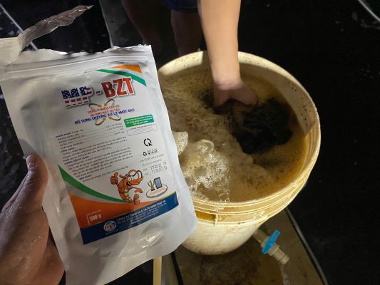 3 Công Dụng Chính Của Vi Sinh BZT Trong Nuôi Tôm