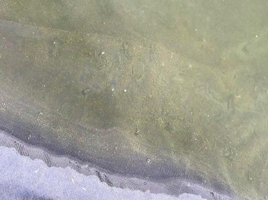 Hướng Dẫn Xử Lý Nhớt Bạt Ao Nuôi Tôm Bằng Enzyme Và Vi Sinh