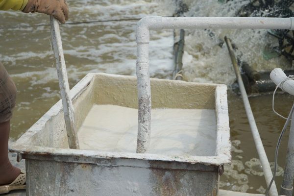 Cách Sử Dụng Vôi Canxi Hiệu Quả Trong Ao Nuôi Tôm