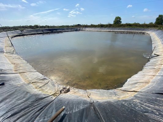 Mực nước ao thấp trong mùa nắng dễ làm nhiệt độ và pH biến động mạnh